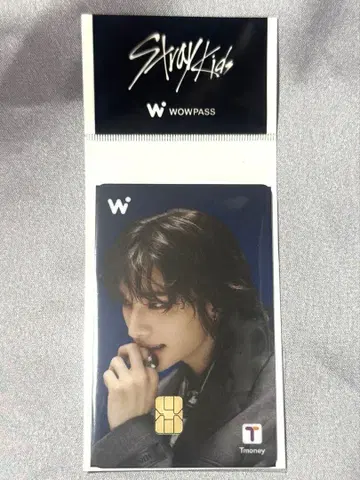 Stray Kids WOWPASS 현진