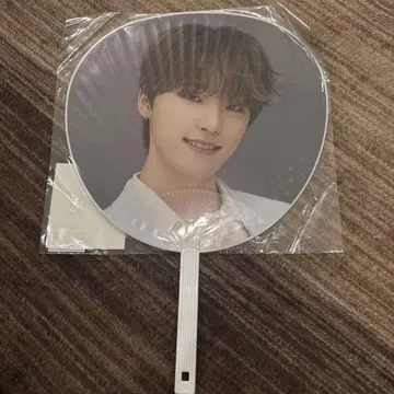 세븐틴 DINO 부채