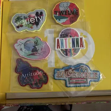Mrs. GREEN APPLE 10주년 자수 패치 세트 6개