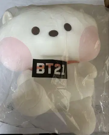 BTS 봉제 인형 RJ minini