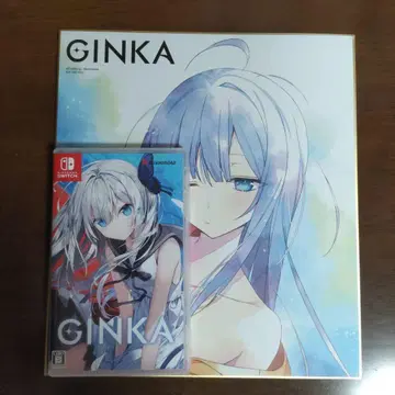GINKA 닌텐도 스위치 아트 포함