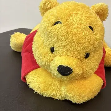 푸우 티슈 커버