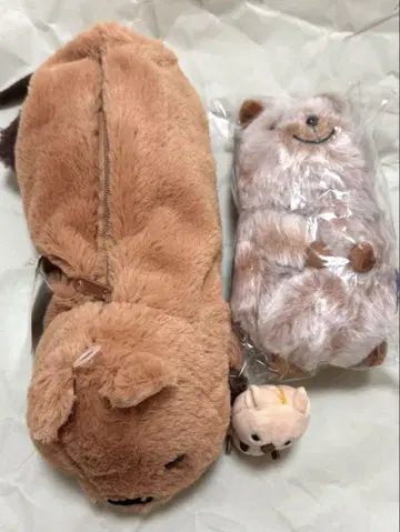 쿠오카 세트