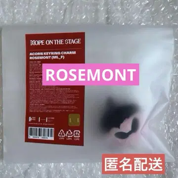 j-hope 전시회 동동이 Acorn ROSEMONT