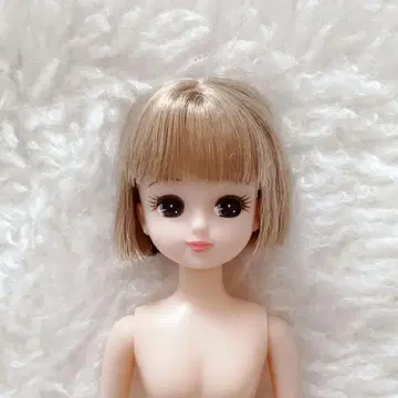 리카짱 밥 타카라토미