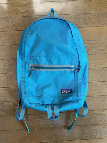 파타고니아 백팩 20L