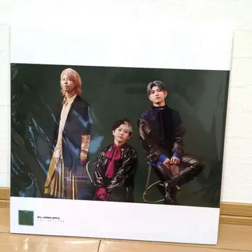 Mrs.GREEN APPLE 10주년 LP 사이즈 사진 포스터 (19장)