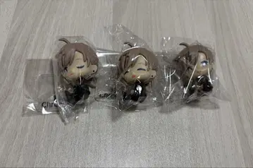 전 종류