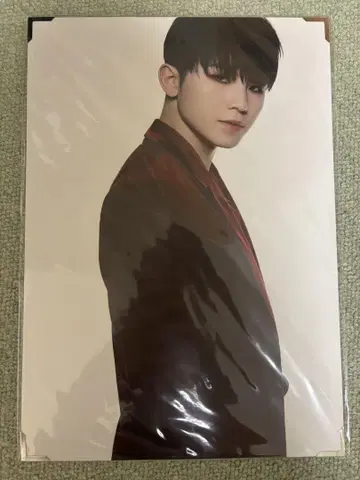 우지 Ruby 프리미엄 사진