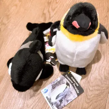 엠퍼러 펭귄과 오카 봉제 인형 세트 나고야 항 수족관