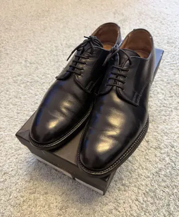 CHEANEY 치니 플레인토 7.5