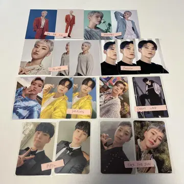 호시 트레이딩 카드 19장 세트