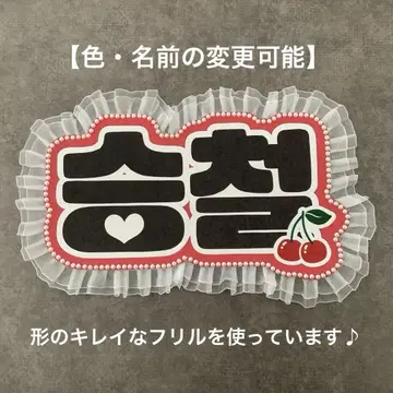 네임 보드 SEVENTEEN 세부치 승철 에스크 네무보
