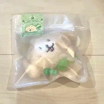 공식 NCT WISH 위시 인형 재희 덴트 리버 JAEHEE