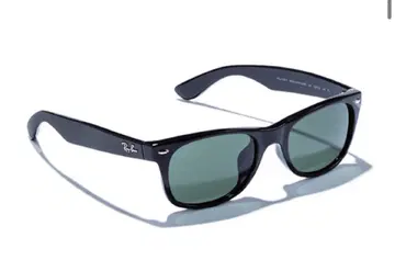 Ray-Ban 웨이퍼러