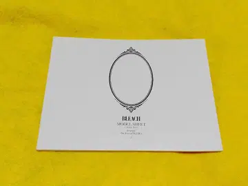 마메메 이카쿠, 히라코 마코, 소책자, BLEACH, 쿠로사키 이치고