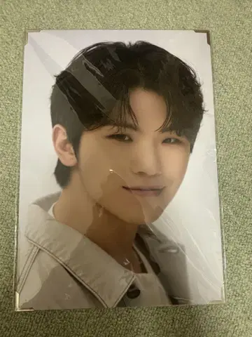 SEVENTEEN CARAT LAND 프리미엄 사진 우지