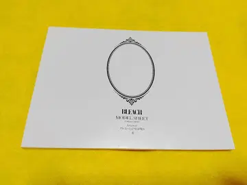 BLEACH 소책자 그리무조 설정 자료 쿠로사키 이치고