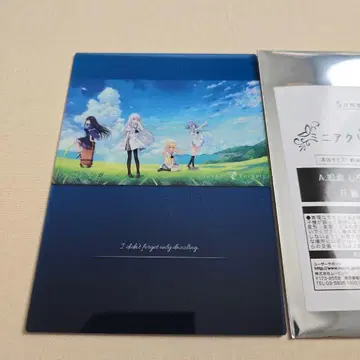 미니 아크릴 아트 컬렉션  세트  summer pockets