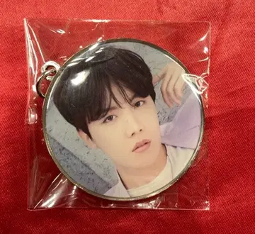 BTS THE BEST J-HOPE PHOTO KEYRING 퍼플