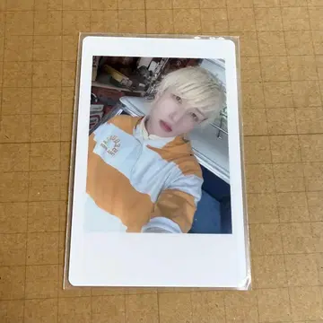 팬더 드래곤 요타 하피카 8