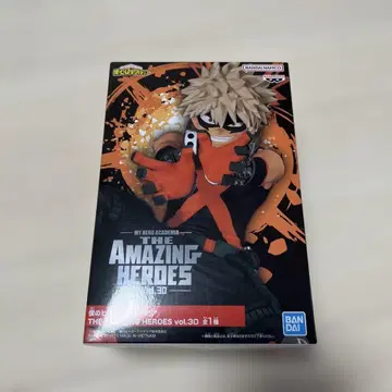 나의 히어로 아카데미아 THE AMAZING HEROES vol.30