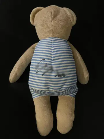 NMIXX 솔린 친필 사인 봉제 인형 일콘 곰 엔미