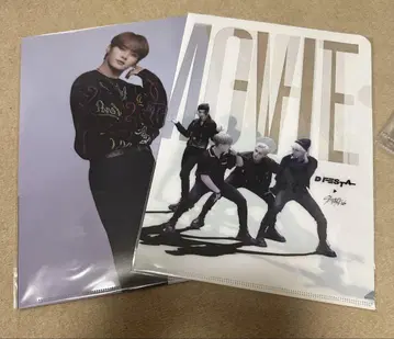 D festa 리노 멤버 클리어 파일 2장 세트