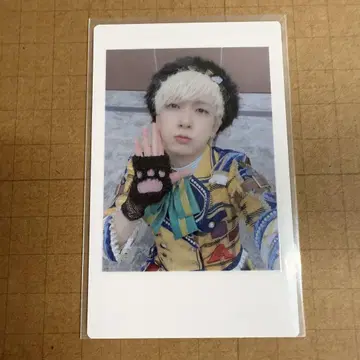 팬더 드래곤 요타 하피카 13