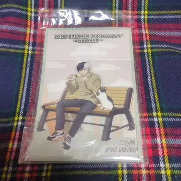 WIND BREAKER 윈브레 벚꽃 하야 weekend 아크릴 스탠드
