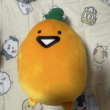문구와 함께 파자마 파티 젤리 씨