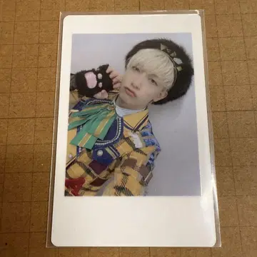 팬더 드래곤 요타 하피카 18