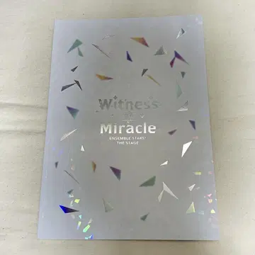 공연 팜플렛 안스테 Witness of Miracle