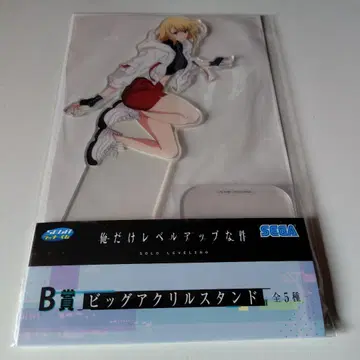 SEGA 럭키 쿠지 B상 나만 레벨업한 사건 빅 아크릴 스탠드