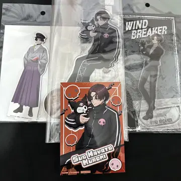 WIND BREAKER 아크릴 스탠드 소호 슌히 3개 세트