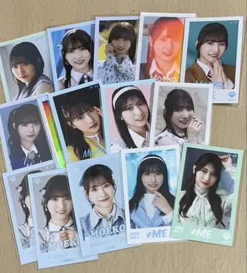 노이미 카니사와 모에코 미니 사진
