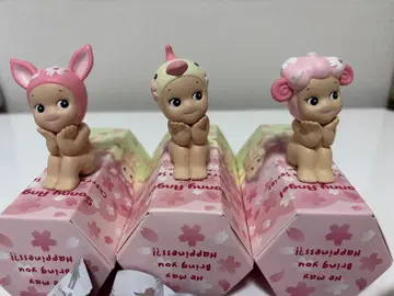 소니 엔젤 체리 블라썸 3개 세트