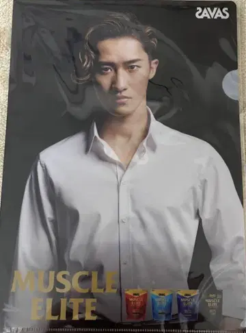 SAVAS 이와모토 테루 클리어 파일