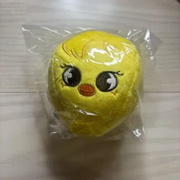 straykids 포가리 백 참