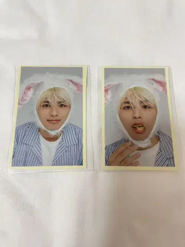 시노즈카 다이키 핑업 2장