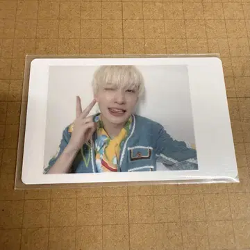 팬더 드래곤 요타 하피카 24