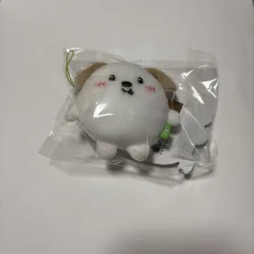 RIIZE 앤톤 RIIZING DAY FINALE 미니 인형 키링