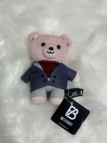 택 포함 미사용 befirst 레오 봉제 인형 곰