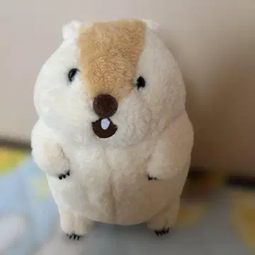 마모트, 소리 지르다 더 많이