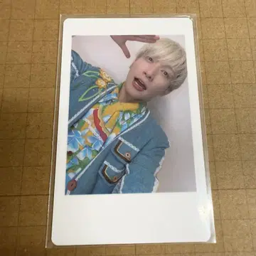 팬더 드래곤 요타 하피카 36