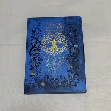 DREAMCATCHER 앨범