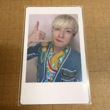 팬더 드래곤 요타 하피카 41