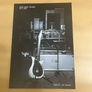 GREEN NERVE Vol.8 히라사와 신 팬클럽 뉴스레터