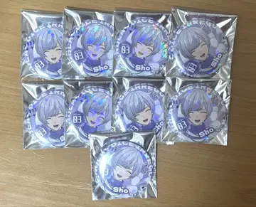 이레이스 캔뱃지 초토 2D V체