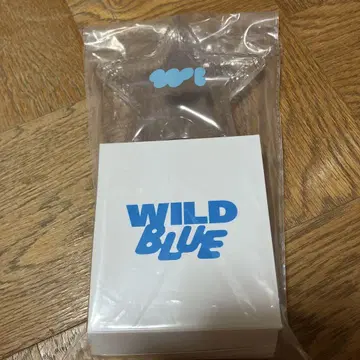 WILD BLUE 응원봉